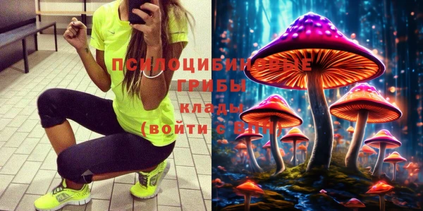не бодяженный Алзамай