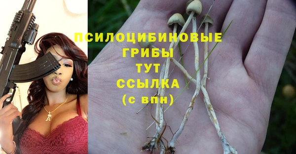 не бодяженный Алзамай