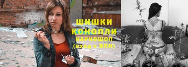 дживик Абинск